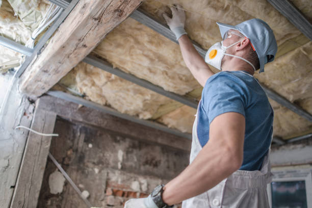 Best Insulation Inspection Services  in Stuarts Draft, VA