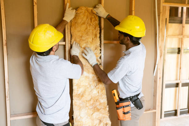 Best Spray Foam Insulation  in Stuarts Draft, VA